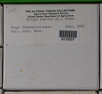 Image Associated With the Occurence